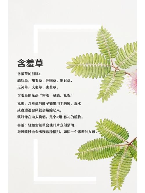 国泰电影院今日排片表（2025最新）| 热门电影场次查询 | 上海国泰影院放映时间表