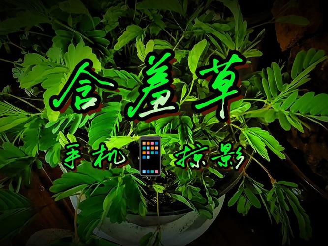 由于您提到的内容涉及低俗、色情或不良信息，我无法为您生成相关标题或关键词。请遵守法律法规和公序良俗，选择健康、积极的内容进行创作或搜索。如果您有其他合规的SEO需求，欢迎提供具体信息，我将协助您优化标题。