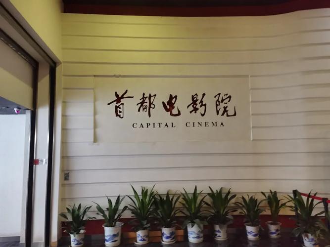 天影影院在线观看 - 最新热播电影电视剧免费追剧平台，高清无广告畅享视听体验