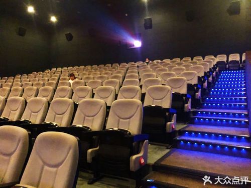 神马影院手机在线线的相关介绍