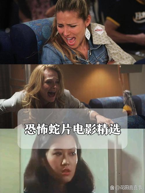 八点影院在线看：最新免费电影电视剧高清无广告，追剧神器一键畅享