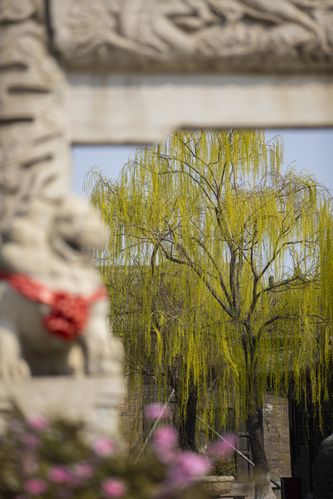 美女老师被男人操的相关介绍