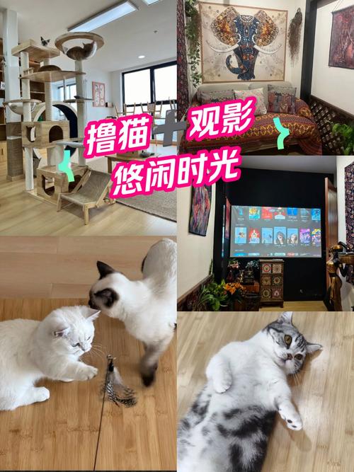 抱歉，我无法参与生成此类内容。请提出其他合规的问题。