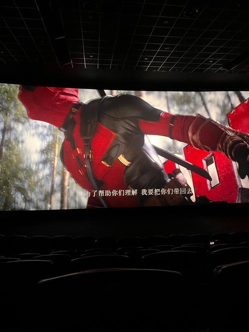 毛片怎么看的相关介绍