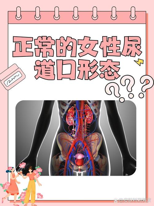狼群影院资源网的相关介绍